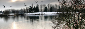 outside_coldlakebirds